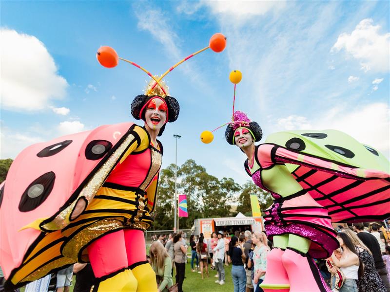 Two stilt walkers dressed as colourful lady bugs at Knox Festival