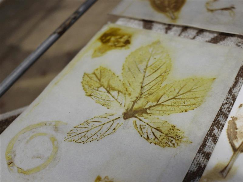 Eco-Printing is an art of science