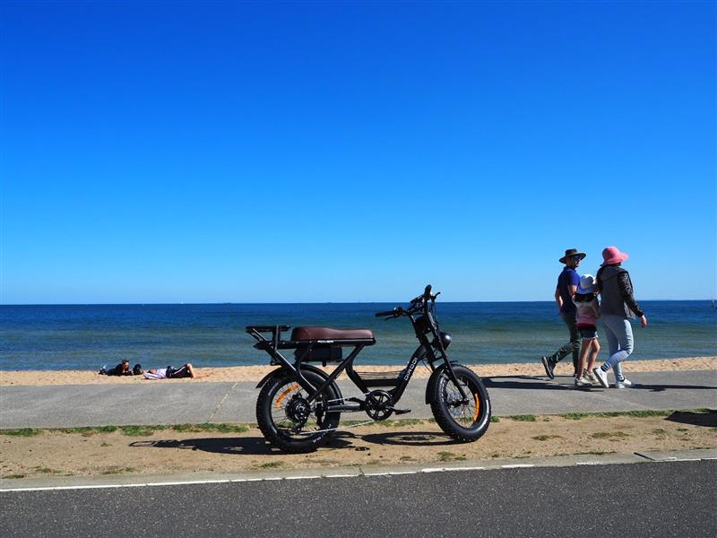 An e-bike parked in front of the beach and ocean. A family is walking on the path along the beach.