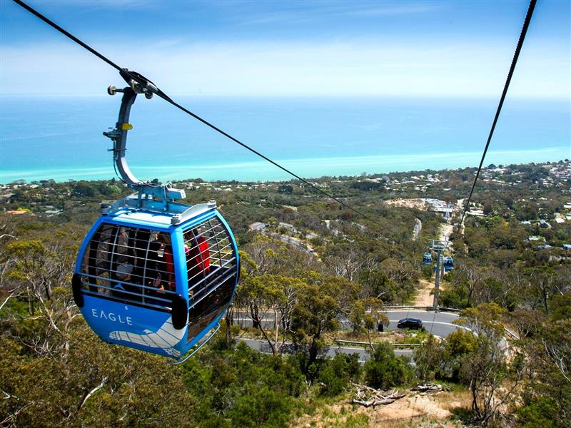 Arthurs Seat Eagle Gondolas 'soaring'