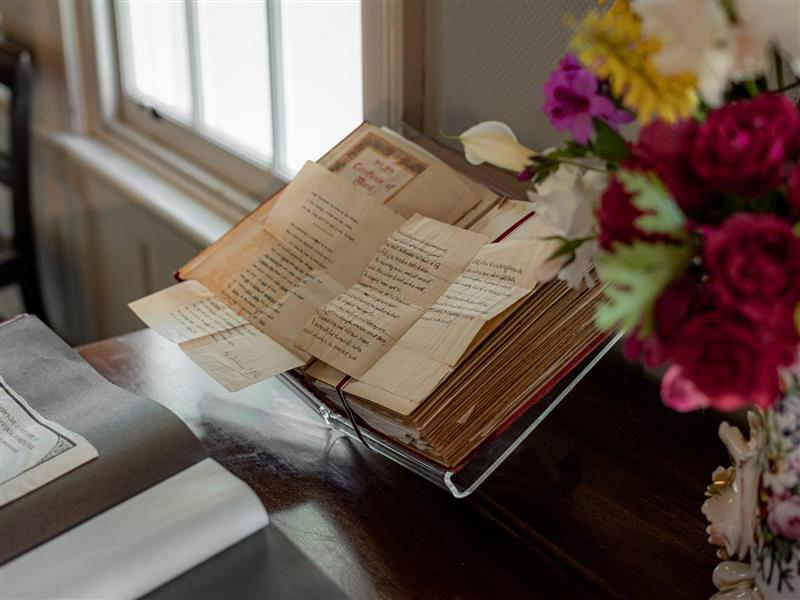 Valentine's Day Card Collection