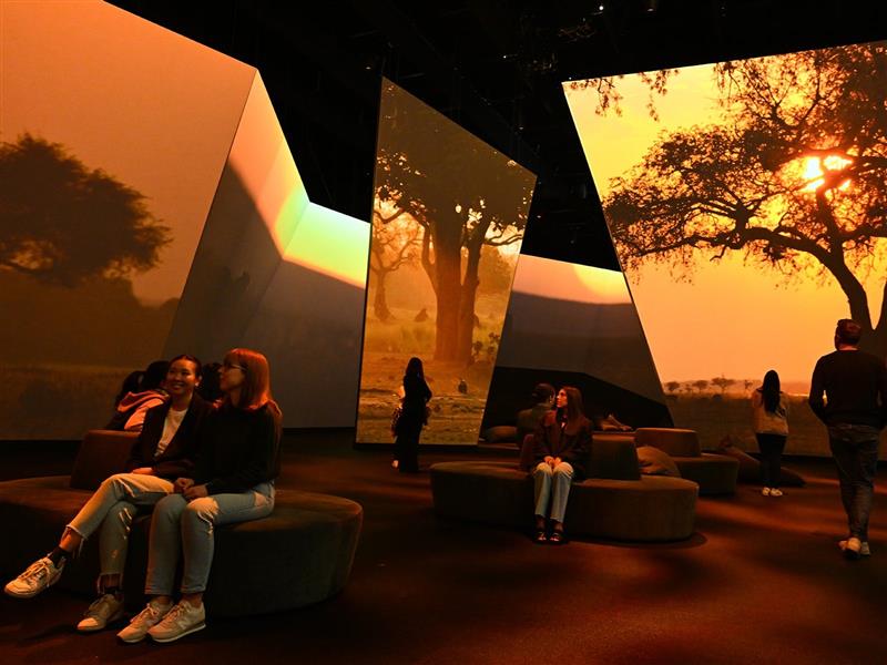 BBC Earth Experience