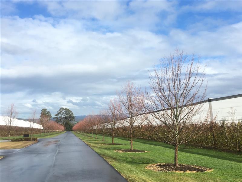 Entrance of a winery at the Yarra Valley