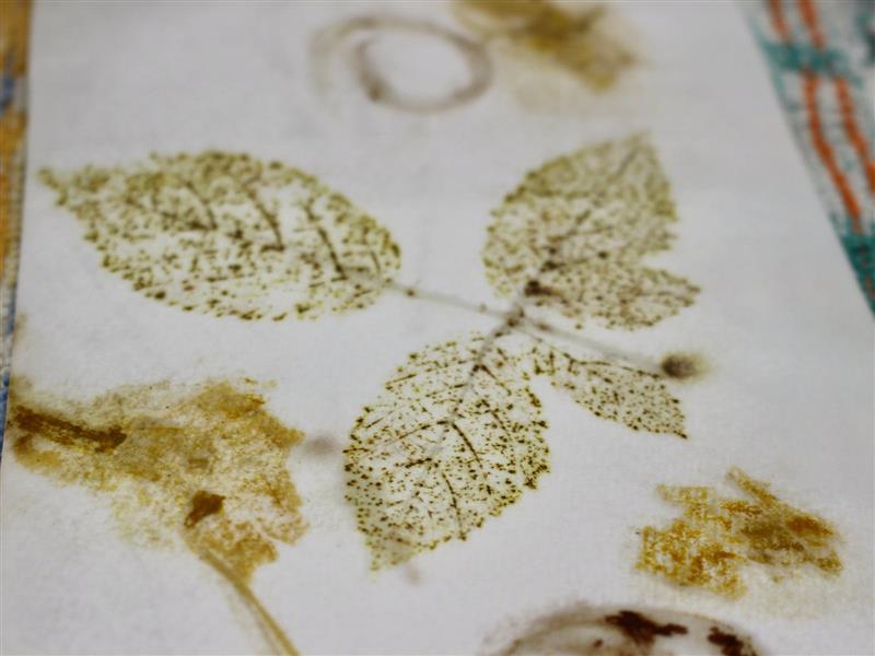 Student Leaf Impression made in the Eco-Printing Workshop