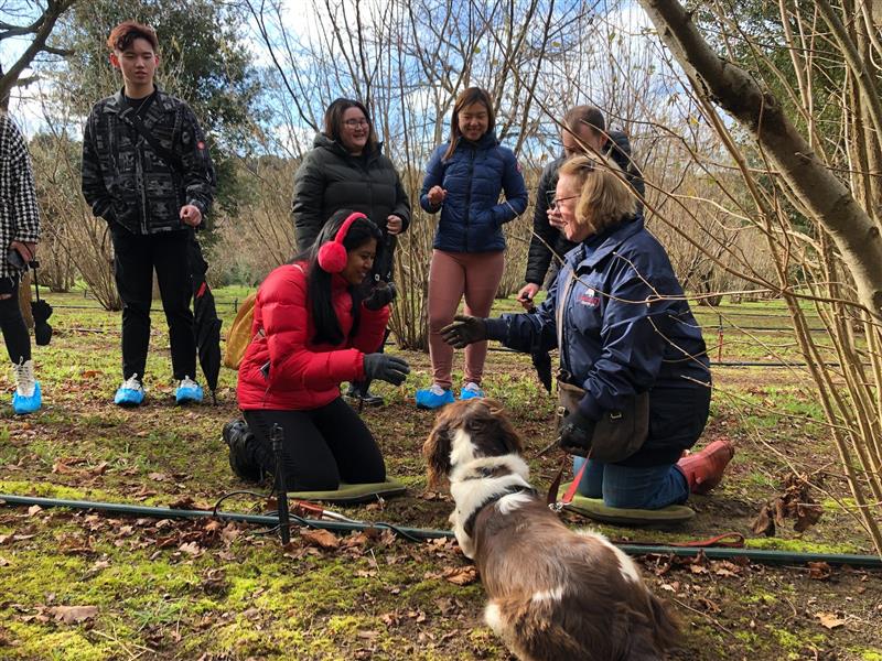 Group on a truffle hunt