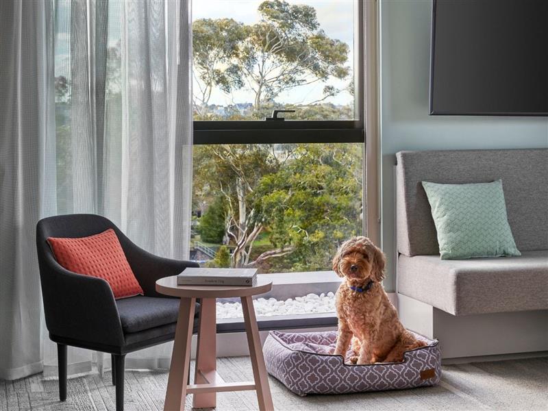 Dog friendly hotel in Richmond