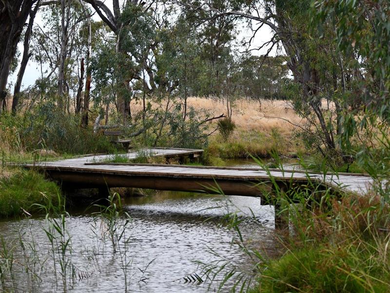 river flowing under a walking brifge.
