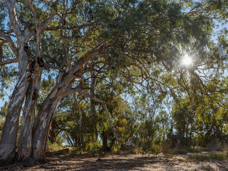 Hattah-Kulkyne National Park