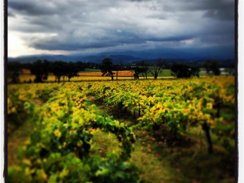 The stunning landscapes of the Yarra Valley.