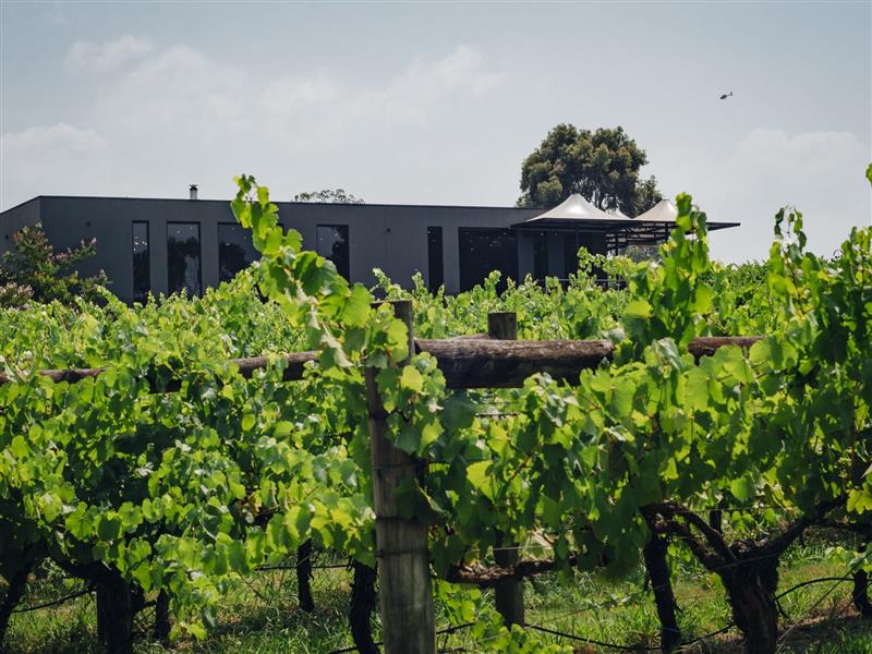 View of MHW Location