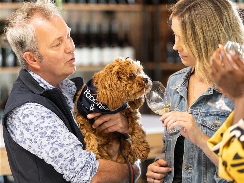 dog on a pooches & Pinot wine tour
