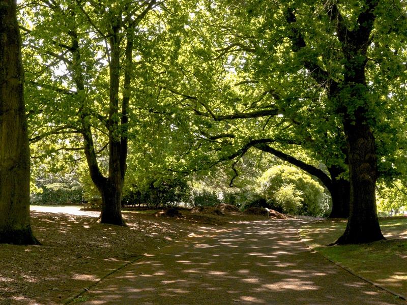 Hamilton Botanic Gardens