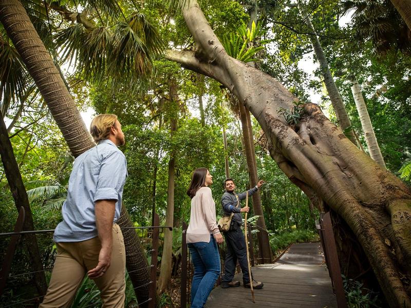 Aboriginal Heritage Walk
