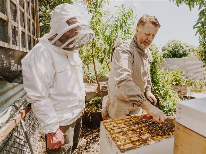 Backyard Beekeepers