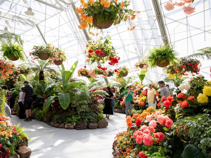 Ballarat Begonia Festival