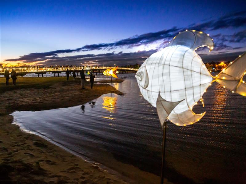 Illuminated fish lanterns by the lake
