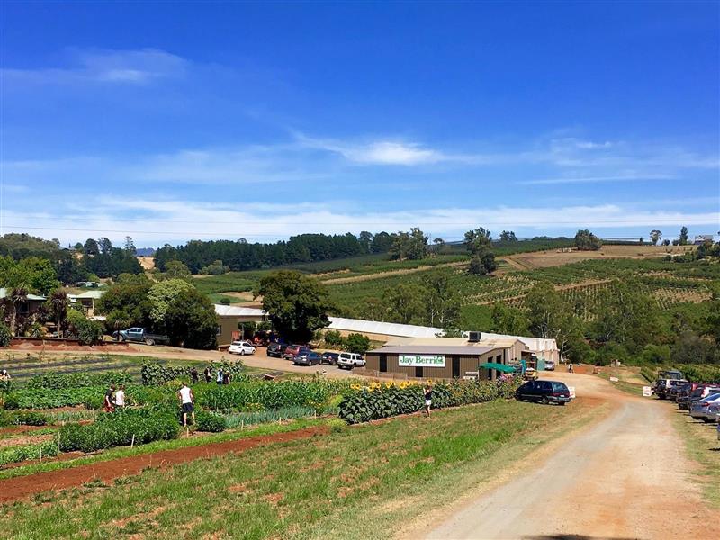 Jay Berries U-Pick farm entry and shed