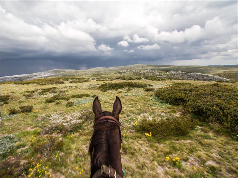 Riding Across the High Plains