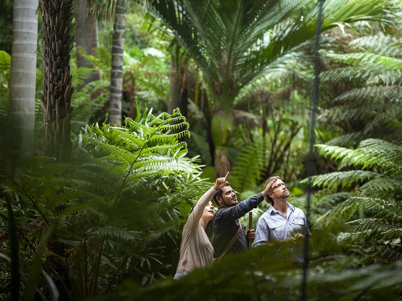 Aboriginal Heritage Walk Royal Botanic Gardens. Photo by Artra Sartracom