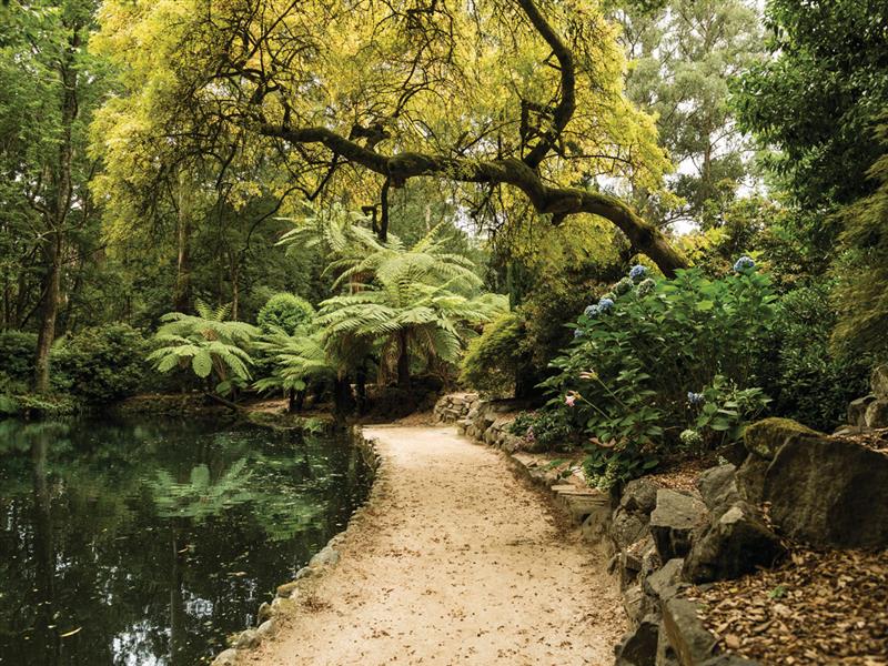 Alfred Nicholas Gardens, Sherbrooke, Yarra Valley and Dandenong Ranges, Victoria, Australia