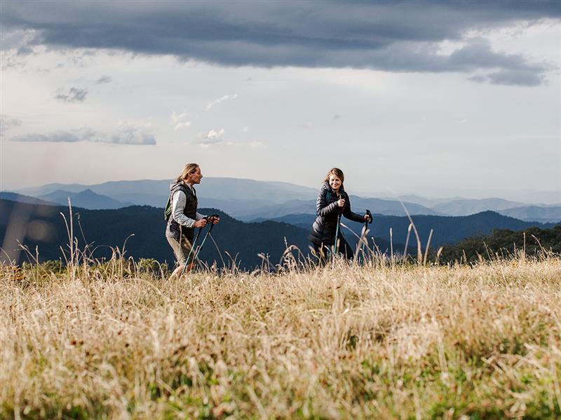 An evening at Craigs, High Country, Victoria