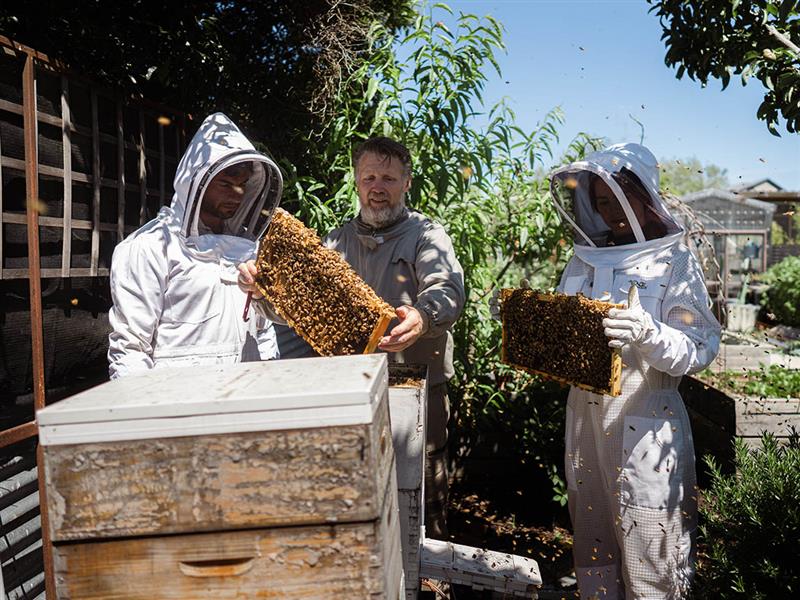 Backyard Beekeeping Ballarat, Ballarat, Victoria, Australia