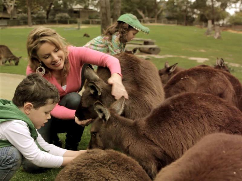 Ballarat Wildlife Park, Ballarat, Goldfields, Victoria, Australia