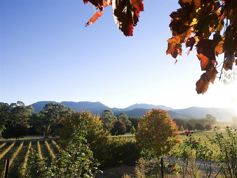 Boyntons Feathertop Winery, High Country, Victoria, Australia