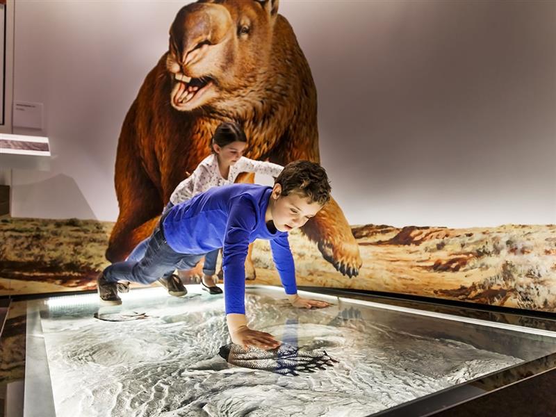 Bunjilaka Aboriginal Cultural Centre, Melbourne Museum, Victoria, Australia