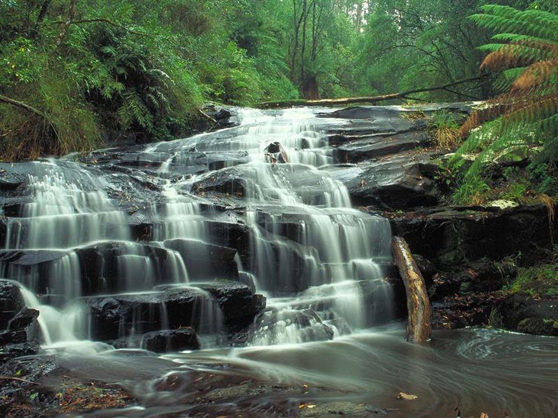 Cora Lynn Cascades, Great Ocean Road, Victoria, Australia