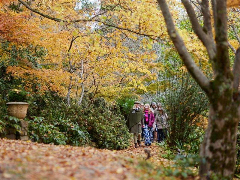 Mount Macedon Tour, Macedon, Victoria