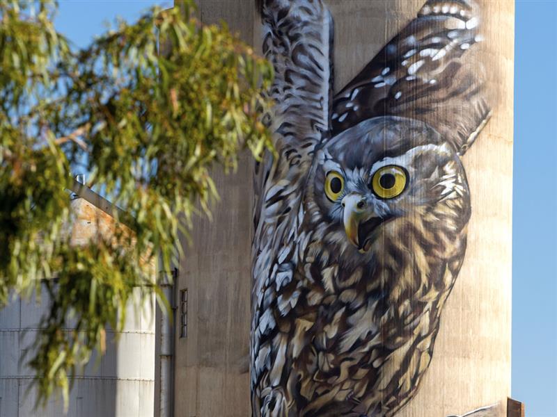 Goorambat Silo Art by Jimmy Dvate, Goorambat, High Country, Victoria, Australia