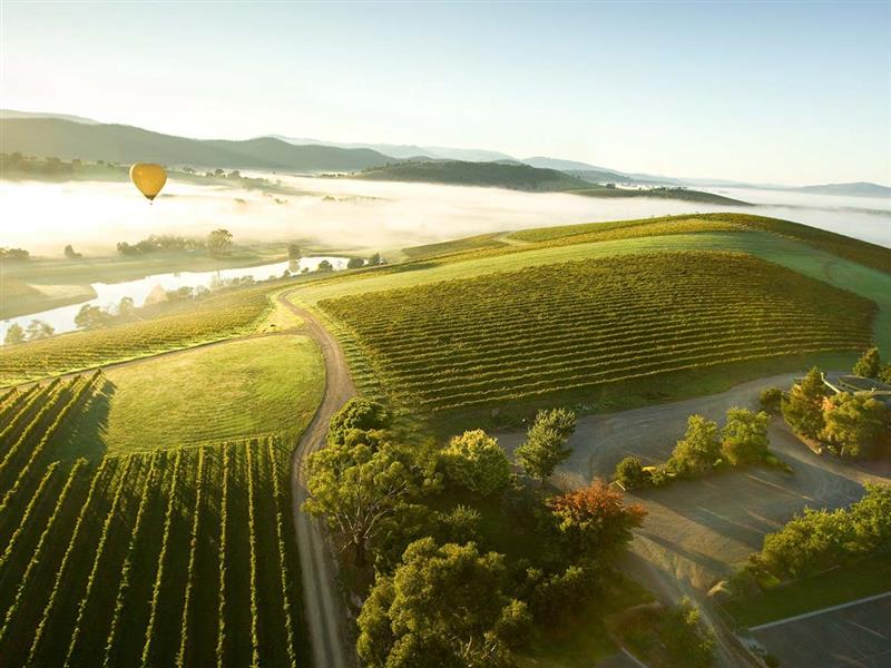 Hot air balloon over the Yarra Valley, Yarra Valley and Dandenong Ranges, Victoria, Australia