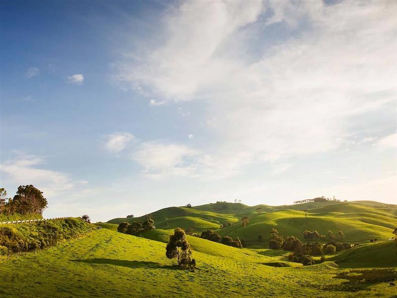 Korumburra, Gippsland, Victoria, Australia