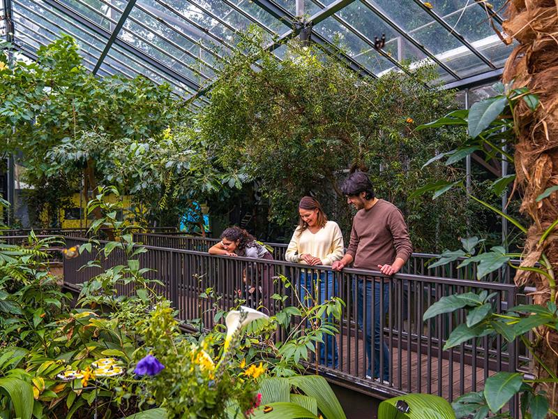 Melbourne Zoo, Melbourne, Victoria