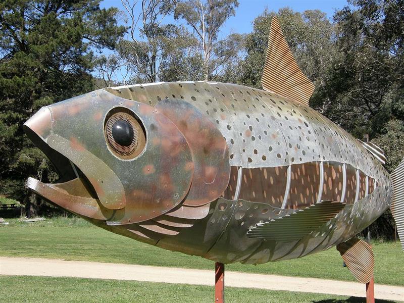 Mountain Fresh Trout & Salmon Farm, Harrietville, High Country, Victoria, Australia