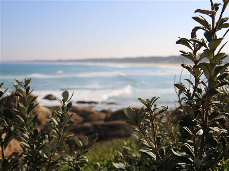 Cape Conran Coastal Park