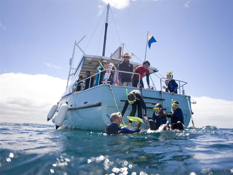 Sea All Dolphin Swims, Geelong and the Bellarine, Victoria, Australia